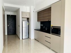 Parc Clematis (D5), Apartment #515604231